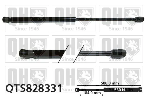 Gasfeder, Koffer-/Laderaum QUINTON HAZELL QTS828331