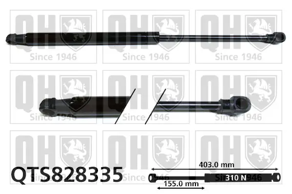 Gasfeder, Koffer-/Laderaum QUINTON HAZELL QTS828335