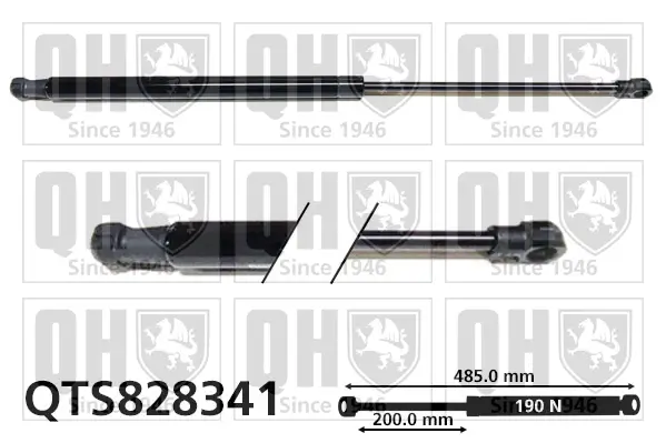Gasfeder, Koffer-/Laderaum QUINTON HAZELL QTS828341