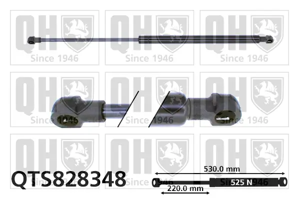 Gasfeder, Koffer-/Laderaum QUINTON HAZELL QTS828348