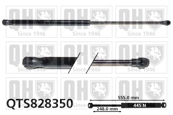 Gasfeder, Koffer-/Laderaum QUINTON HAZELL QTS828350