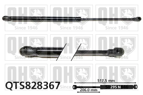 Gasfeder, Koffer-/Laderaum QUINTON HAZELL QTS828367