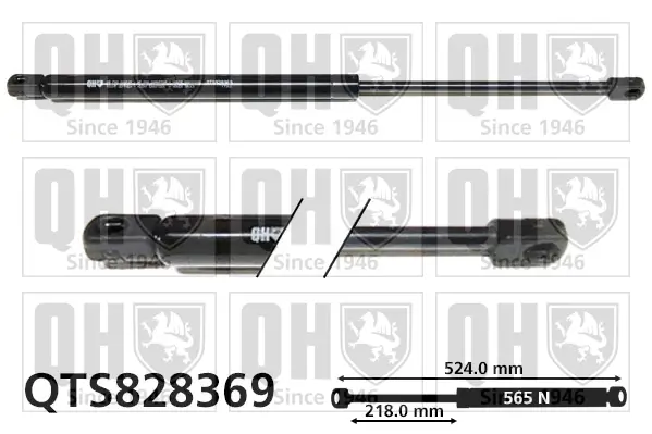 Gasfeder, Koffer-/Laderaum QUINTON HAZELL QTS828369