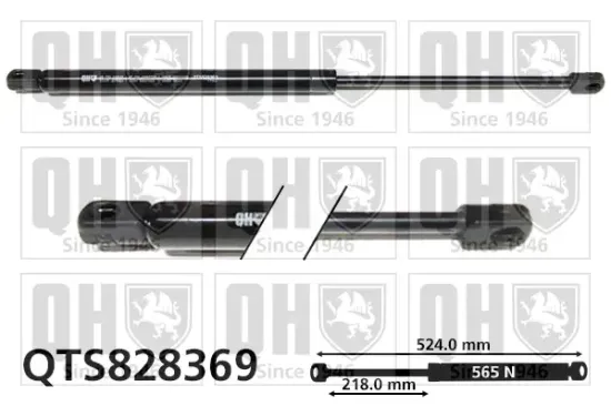 Gasfeder, Koffer-/Laderaum QUINTON HAZELL QTS828369 Bild Gasfeder, Koffer-/Laderaum QUINTON HAZELL QTS828369
