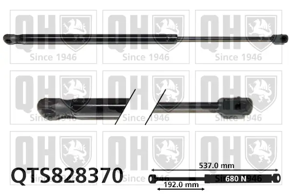 Gasfeder, Koffer-/Laderaum QUINTON HAZELL QTS828370