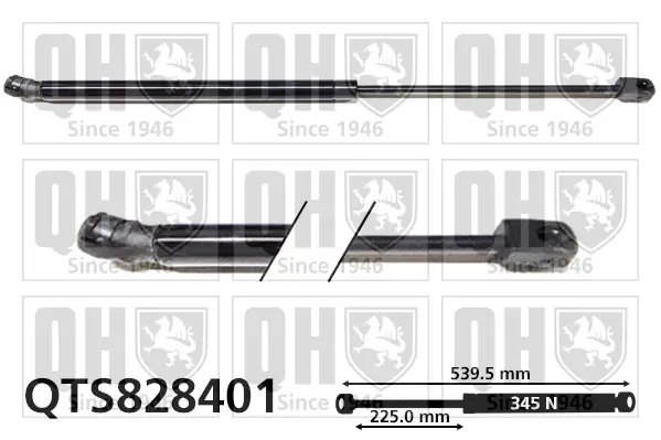 Gasfeder, Koffer-/Laderaum beidseitig QUINTON HAZELL QTS828401