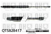 Gasfeder, Koffer-/Laderaum beidseitig QUINTON HAZELL QTS828417