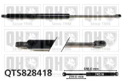 Gasfeder, Koffer-/Laderaum beidseitig QUINTON HAZELL QTS828418