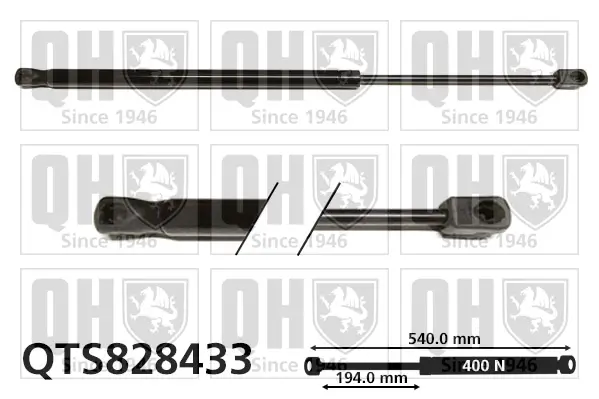 Gasfeder, Koffer-/Laderaum QUINTON HAZELL QTS828433