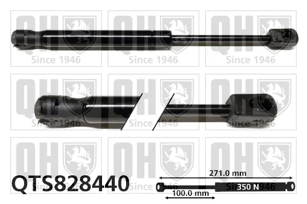 Gasfeder, Koffer-/Laderaum QUINTON HAZELL QTS828440