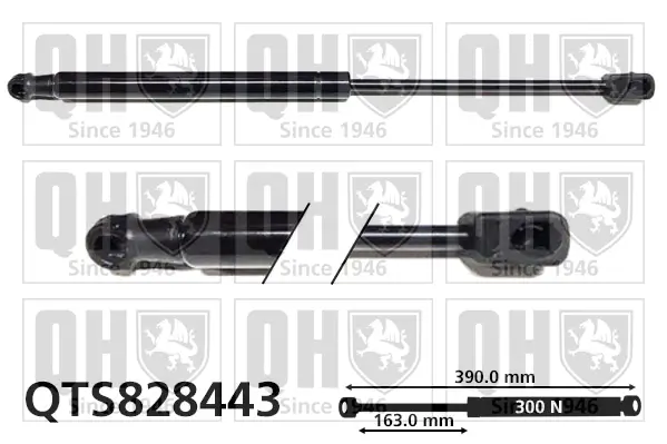 Gasfeder, Motorhaube QUINTON HAZELL QTS828443