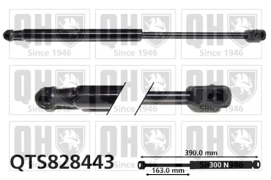 Gasfeder, Motorhaube QUINTON HAZELL QTS828443 Bild Gasfeder, Motorhaube QUINTON HAZELL QTS828443