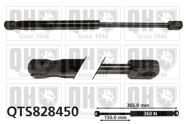 Gasfeder, Motorhaube QUINTON HAZELL QTS828450