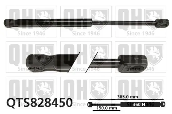 Gasfeder, Motorhaube QUINTON HAZELL QTS828450 Bild Gasfeder, Motorhaube QUINTON HAZELL QTS828450