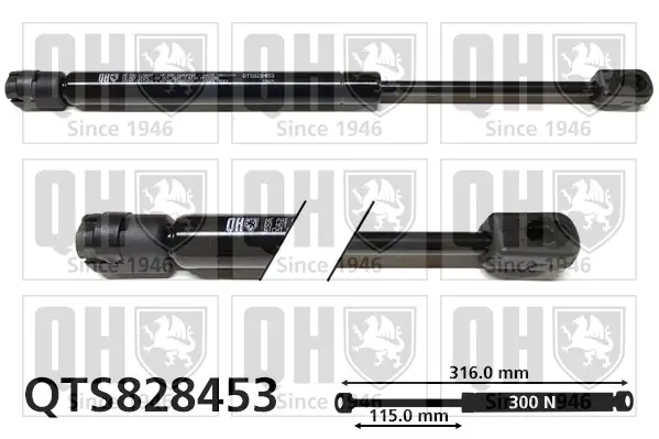 Gasfeder, Koffer-/Laderaum QUINTON HAZELL QTS828453