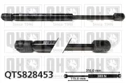 Gasfeder, Koffer-/Laderaum QUINTON HAZELL QTS828453