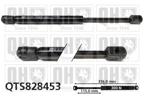 Gasfeder, Koffer-/Laderaum QUINTON HAZELL QTS828453 Bild Gasfeder, Koffer-/Laderaum QUINTON HAZELL QTS828453