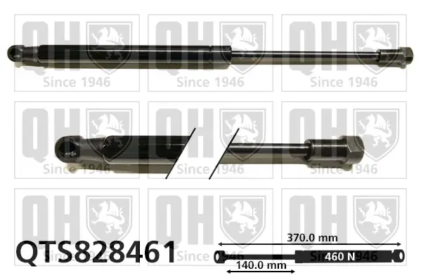 Gasfeder, Koffer-/Laderaum QUINTON HAZELL QTS828461