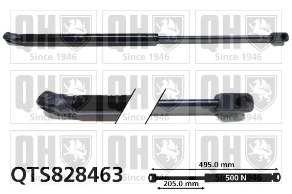 Gasfeder, Koffer-/Laderaum beidseitig QUINTON HAZELL QTS828463