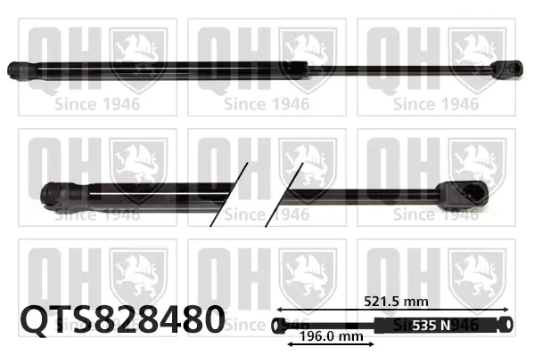 Gasfeder, Koffer-/Laderaum QUINTON HAZELL QTS828480