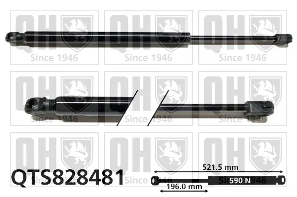 Gasfeder, Koffer-/Laderaum QUINTON HAZELL QTS828481