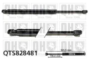 Gasfeder, Koffer-/Laderaum QUINTON HAZELL QTS828481