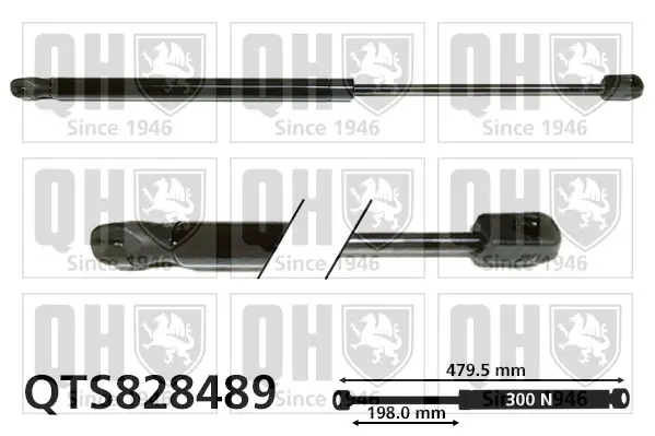 Gasfeder, Motorhaube QUINTON HAZELL QTS828489
