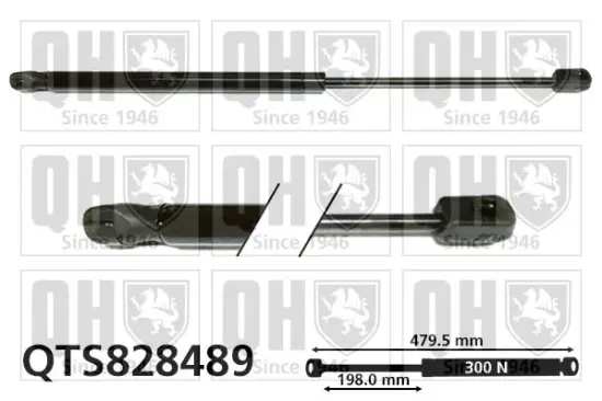 Gasfeder, Motorhaube QUINTON HAZELL QTS828489 Bild Gasfeder, Motorhaube QUINTON HAZELL QTS828489