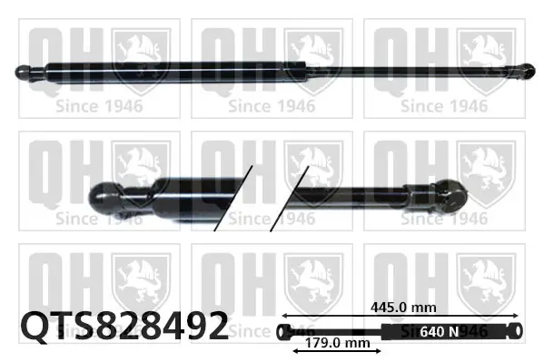 Gasfeder, Koffer-/Laderaum QUINTON HAZELL QTS828492