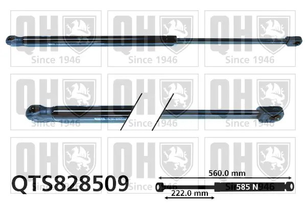 Gasfeder, Koffer-/Laderaum QUINTON HAZELL QTS828509
