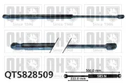 Gasfeder, Koffer-/Laderaum QUINTON HAZELL QTS828509