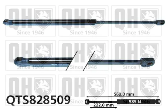 Gasfeder, Koffer-/Laderaum QUINTON HAZELL QTS828509 Bild Gasfeder, Koffer-/Laderaum QUINTON HAZELL QTS828509