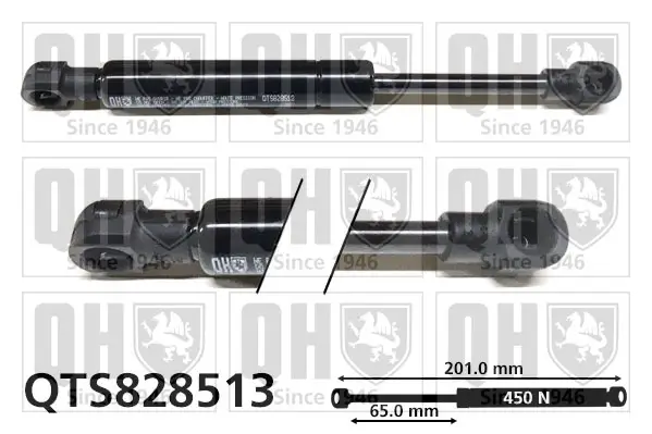 Gasfeder, Koffer-/Laderaum QUINTON HAZELL QTS828513
