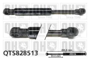 Gasfeder, Koffer-/Laderaum QUINTON HAZELL QTS828513