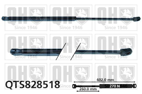 Gasfeder, Koffer-/Laderaum QUINTON HAZELL QTS828518