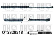 Gasfeder, Koffer-/Laderaum QUINTON HAZELL QTS828518