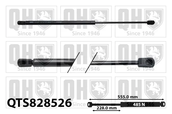 Gasfeder, Koffer-/Laderaum QUINTON HAZELL QTS828526