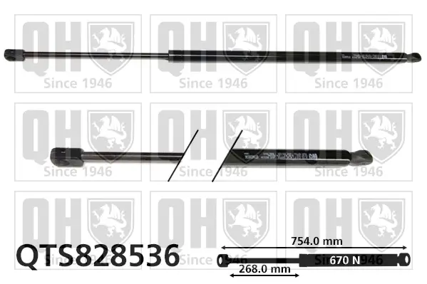 Gasfeder, Koffer-/Laderaum hinten rechts QUINTON HAZELL QTS828536