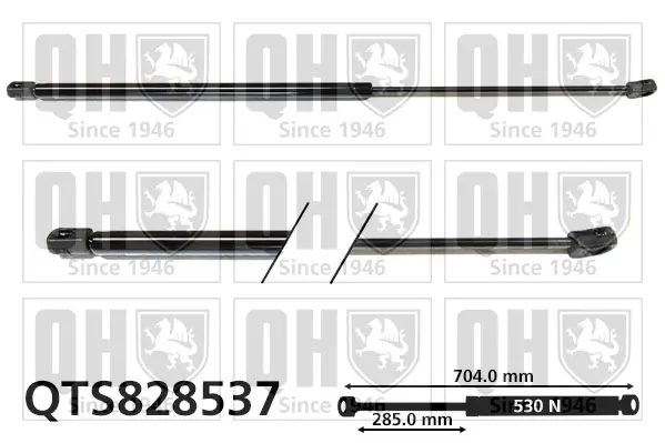 Gasfeder, Koffer-/Laderaum QUINTON HAZELL QTS828537