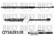 Gasfeder, Koffer-/Laderaum beidseitig QUINTON HAZELL QTS828538