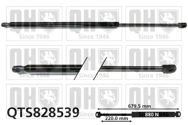 Gasfeder, Koffer-/Laderaum beidseitig QUINTON HAZELL QTS828539