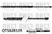 Gasfeder, Koffer-/Laderaum beidseitig QUINTON HAZELL QTS828539