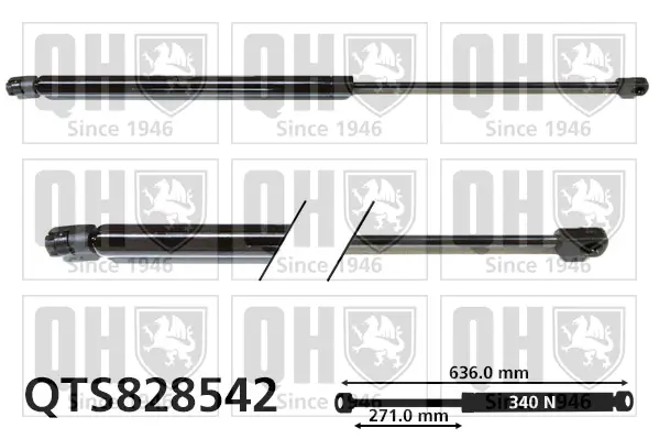 Gasfeder, Koffer-/Laderaum QUINTON HAZELL QTS828542