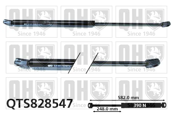 Gasfeder, Koffer-/Laderaum QUINTON HAZELL QTS828547