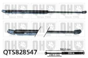 Gasfeder, Koffer-/Laderaum QUINTON HAZELL QTS828547