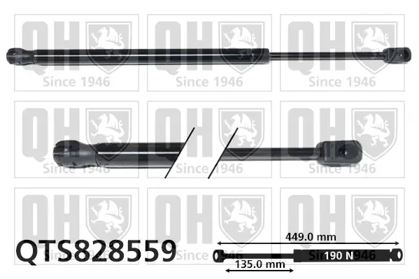Gasfeder, Motorhaube QUINTON HAZELL QTS828559