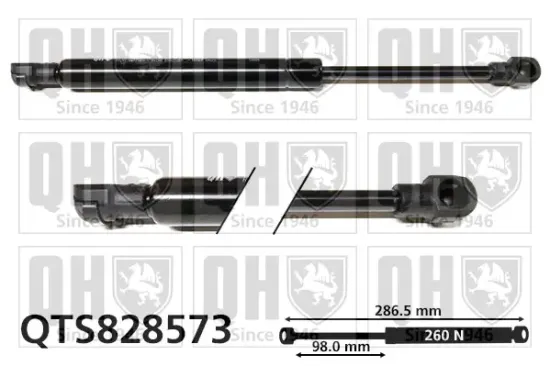 Gasfeder, Motorhaube QUINTON HAZELL QTS828573 Bild Gasfeder, Motorhaube QUINTON HAZELL QTS828573