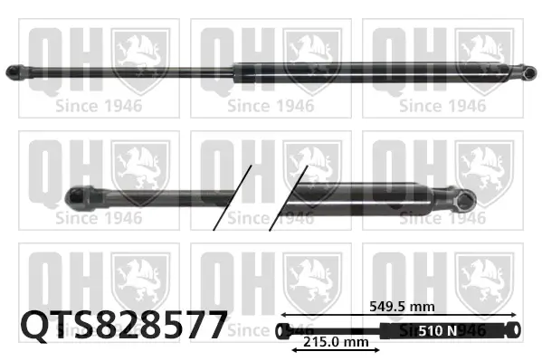Gasfeder, Koffer-/Laderaum QUINTON HAZELL QTS828577