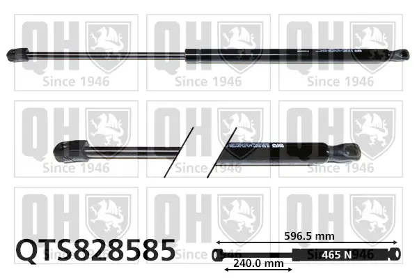 Gasfeder, Koffer-/Laderaum QUINTON HAZELL QTS828585