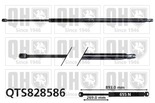 Gasfeder, Koffer-/Laderaum QUINTON HAZELL QTS828586